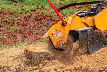 Stump Removal in Darnestown, Maryland